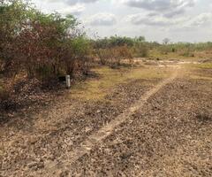AFIENYA -ODUMSE COMMUNITY LANDS AVAILABLE AT AFFORDABLE PRICE