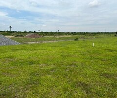 80.100sqft Lands Available At Affordable Price(Afienya-Odumse)