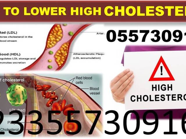 FOREVER LIVING PRODUCTS FOR HIGH CHOLESTEROL - 1