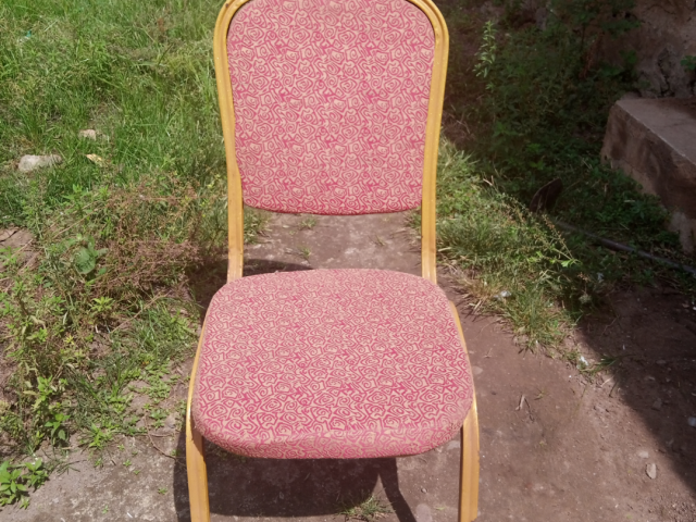 Metallic Cushion Chairs - 1