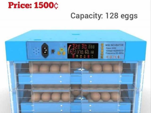 Egg Incubator. - 1