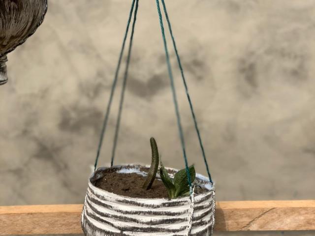 Hanging Flower Pot - 1